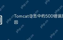 Tomcat日志中的500错误原因