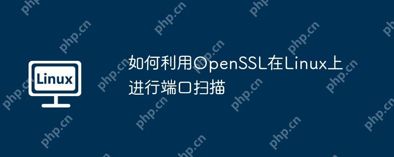 如何利用openssl在linux上进行端口扫描