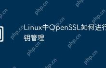 Linux中OpenSSL如何进行密钥管理
