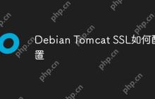 Debian Tomcat SSL如何配置
