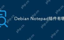 Debian Notepad插件有哪些