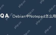 Debian中Notepad怎么用