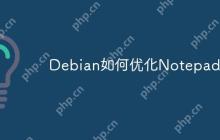 Debian如何优化Notepad