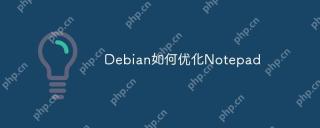 Debian如何优化Notepad
