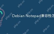 Debian Notepad兼容性怎样