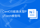 CentOS能跑大型PyTorch模型吗
