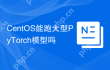CentOS能跑大型PyTorch模型吗