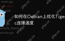 如何在Debian上优化Tigervnc连接速度