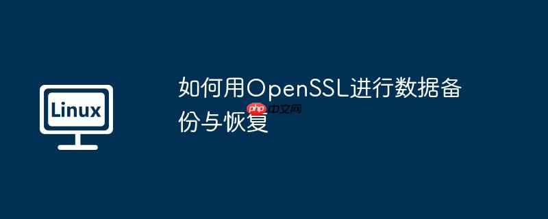 如何用openssl进行数据备份与恢复
