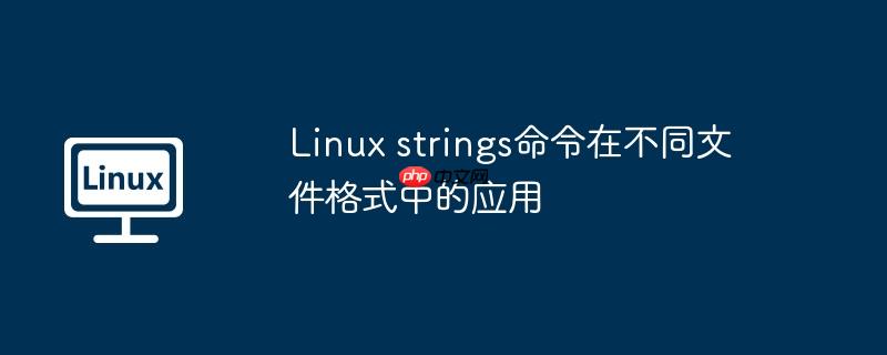 Linux strings命令在不同文件格式中的应用