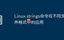 Linux strings命令在不同文件格式中的应用