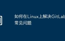 如何在Linux上解决GitLab的常见问题
