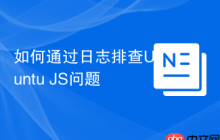 如何通过日志排查Ubuntu JS问题