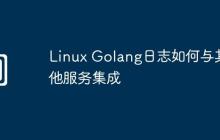 Linux Golang日志如何与其他服务集成