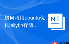 如何利用ubuntu优化jellyfin存储空间