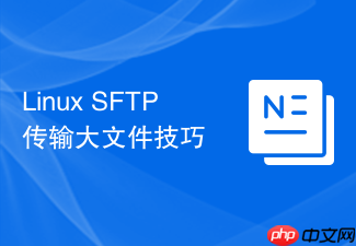 Linux SFTP传输大文件技巧