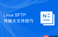 Linux SFTP传输大文件技巧