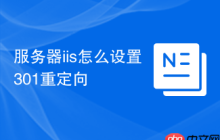 服务器iis怎么设置301重定向