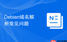 Debian域名解析常见问题