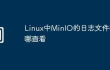 Linux中MinIO的日志文件在哪查看