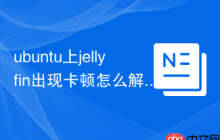 ubuntu上jellyfin出现卡顿怎么解决