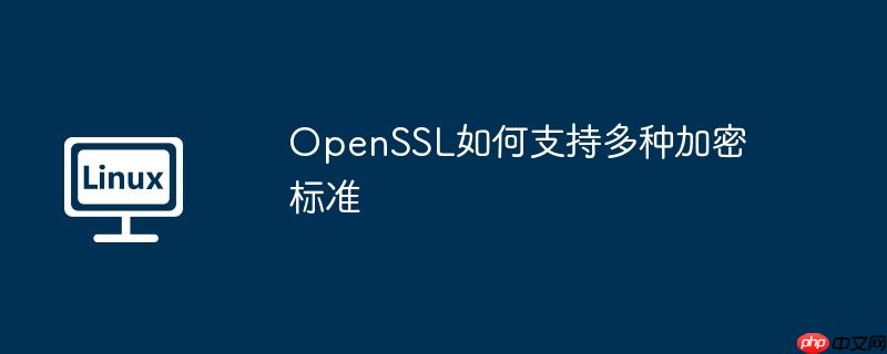 OpenSSL如何支持多种加密标准