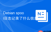 Debian spool日志记录了什么信息