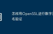 怎样用OpenSSL进行数字签名验证