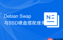 Debian Swap与SSD硬盘搭配使用