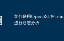 如何使用OpenSSL在Linux上进行日志分析