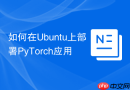 如何在Ubuntu上部署PyTorch应用