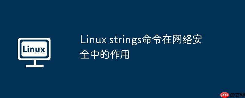 linux strings命令在网络安全中的作用