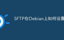 SFTP在Debian上如何设置