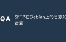 SFTP在Debian上的日志如何查看