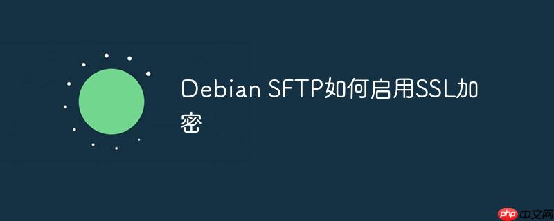 debian sftp如何启用ssl加密