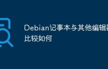 Debian记事本与其他编辑器比较如何