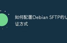 如何配置Debian SFTP的认证方式