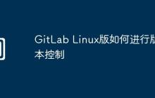 GitLab Linux版如何进行版本控制