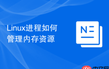 Linux进程如何管理内存资源