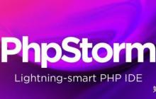 PHPStorm 对 Vue.js 项目的代码提示与组件识别问题