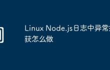 Linux Node.js日志中异常捕获怎么做