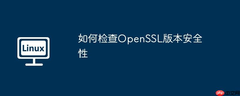 如何检查openssl版本安全性