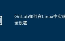 GitLab如何在Linux中实现安全设置