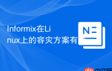 Informix在Linux上的容灾方案有哪些