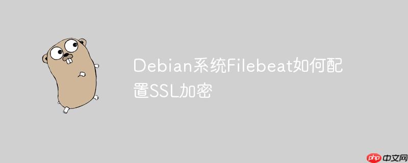 Debian系统Filebeat如何配置SSL加密-小浪学习网