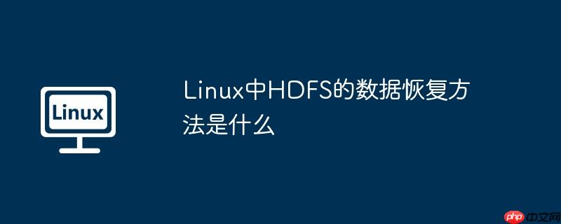 linux中hdfs的数据恢复方法是什么
