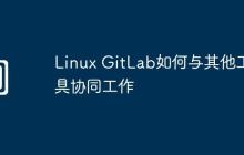 Linux GitLab如何与其他工具协同工作