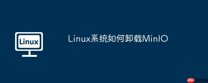 Linux系统如何卸载MinIO-小浪学习网