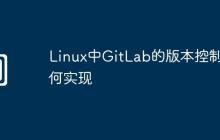 Linux中GitLab的版本控制如何实现