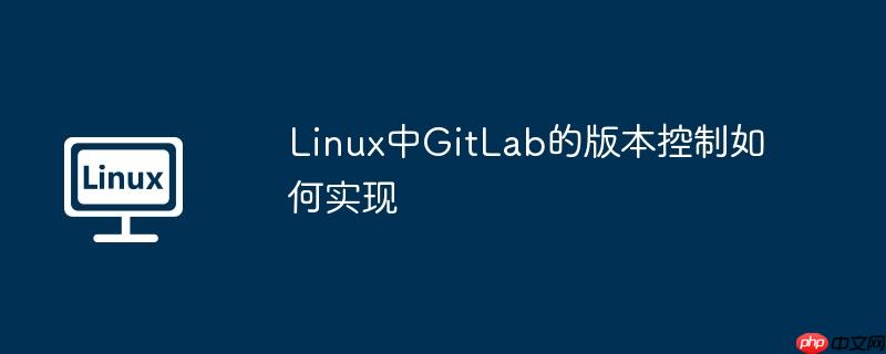 Linux中GitLab的版本控制如何實現-小浪學習網